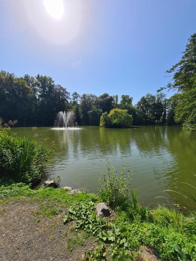 Fe Wo Nele Daire Alsfeld Dış mekan fotoğraf